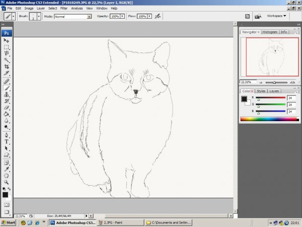 Creation of little cross-eyes: Step 2